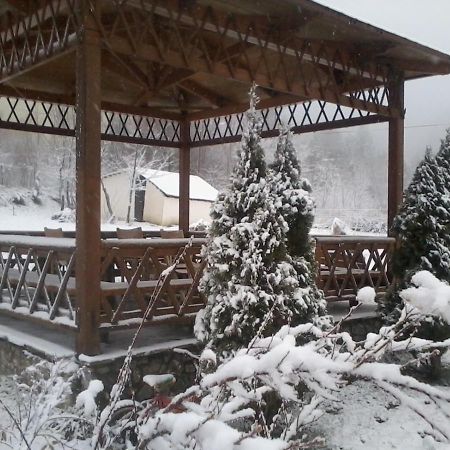 Villa Alexandra Grevena Esterno foto