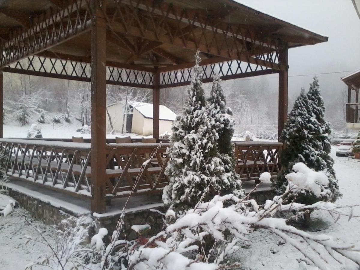 Villa Alexandra Grevena Esterno foto
