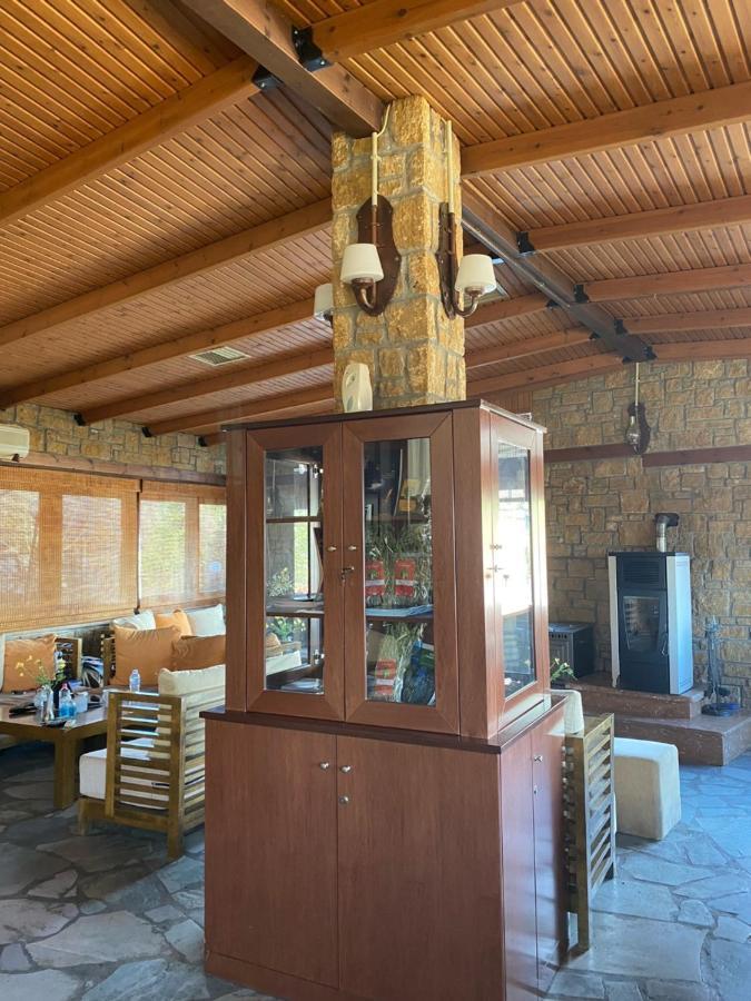 Villa Alexandra Grevena Esterno foto