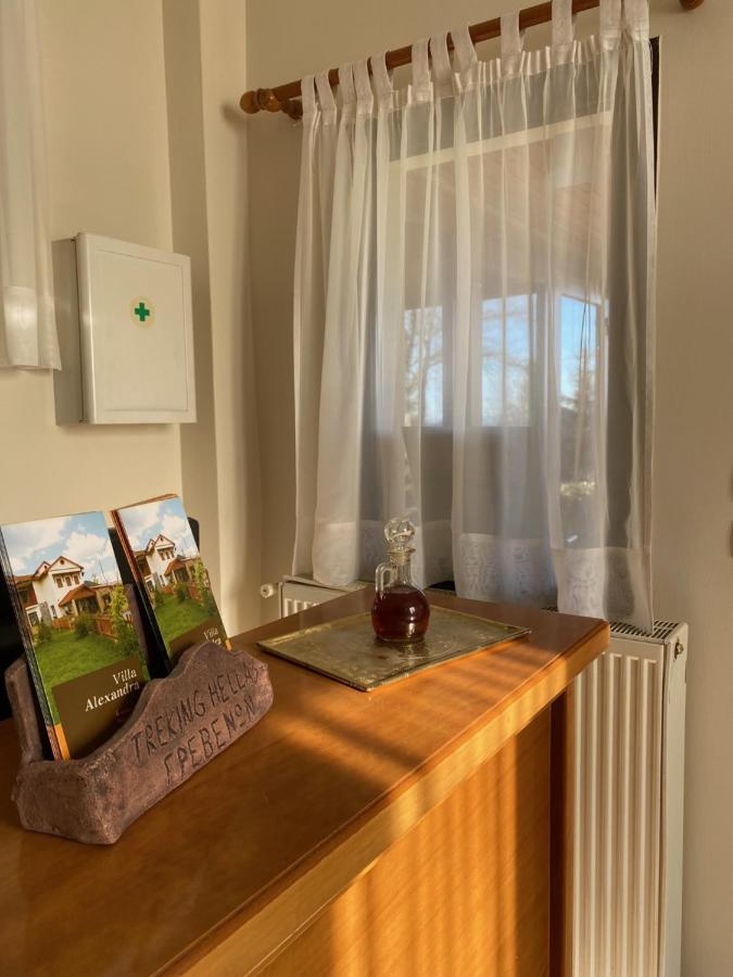 Villa Alexandra Grevena Esterno foto